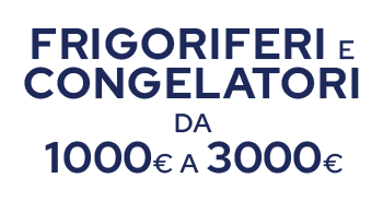 frigoriferi e congelatori sopra i 1000€